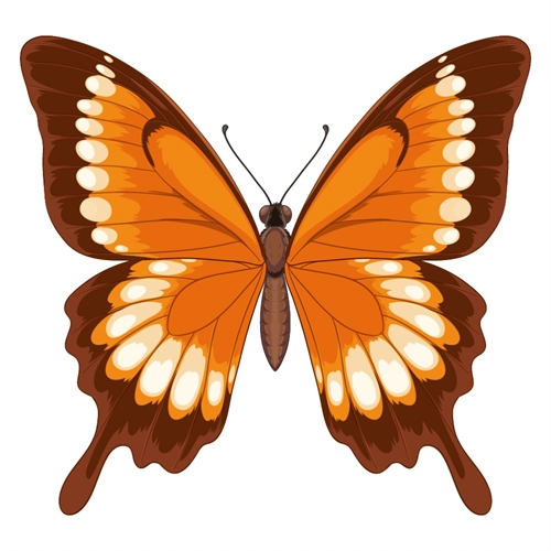 Butterfly Theme Orange And Brown Butterfly Transparent Sticker Large